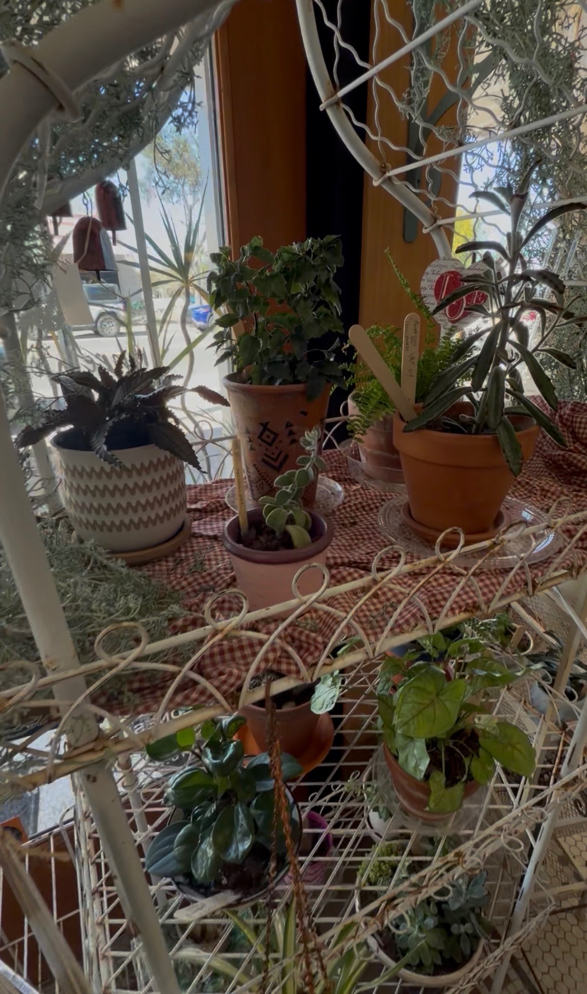 Plants and garden items at Bare Wood Market